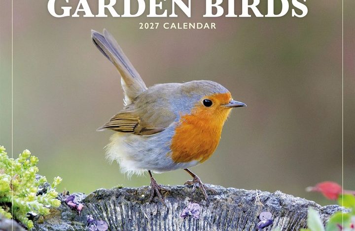 British Garden Birds Mini Calendar 2027