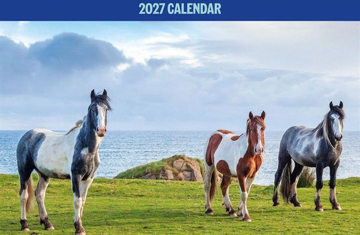 RSPCA