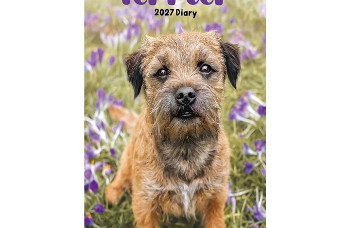 Border Terrier Slim Diary 2027