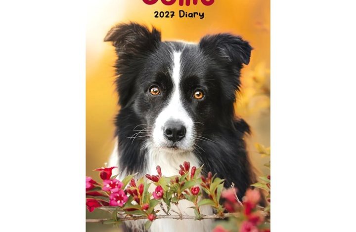 Border Collies Slim Diary 2027