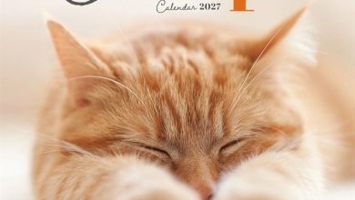 Cat Naps Mini Calendar 2027