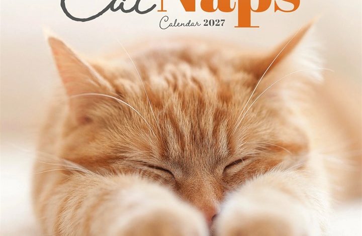 Cat Naps Mini Calendar 2027