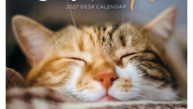 Cat Naps Easel Desk Calendar 2027