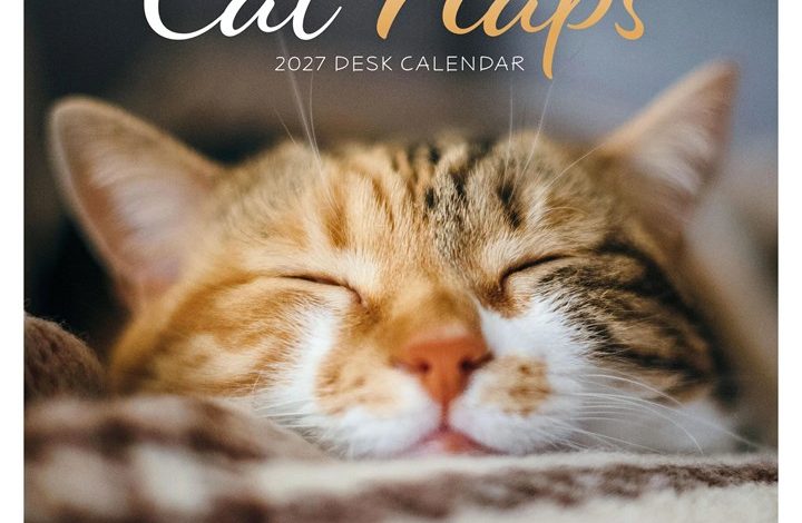 Cat Naps Easel Desk Calendar 2027