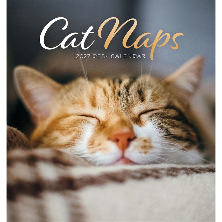 Cat Naps Easel Desk Calendar 2027