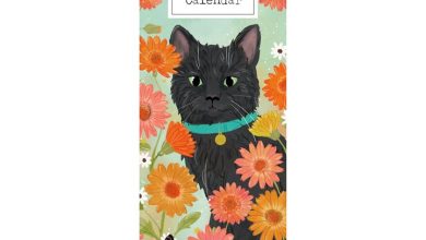 Cats Illustrated Slim Calendar 2027