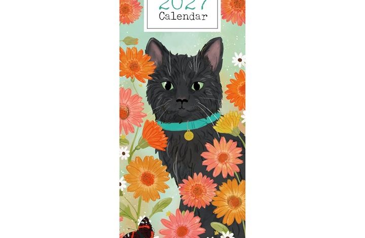 Cats Illustrated Slim Calendar 2027