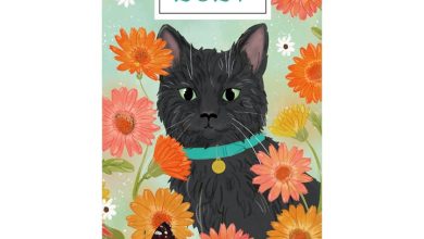 Cats Illustrated Slim Diary 2027