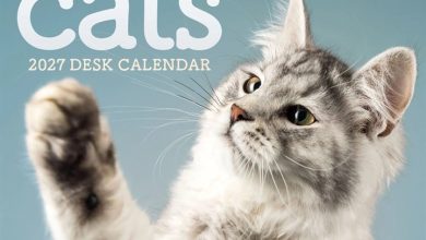 Cats Mini Desk Calendar 2027