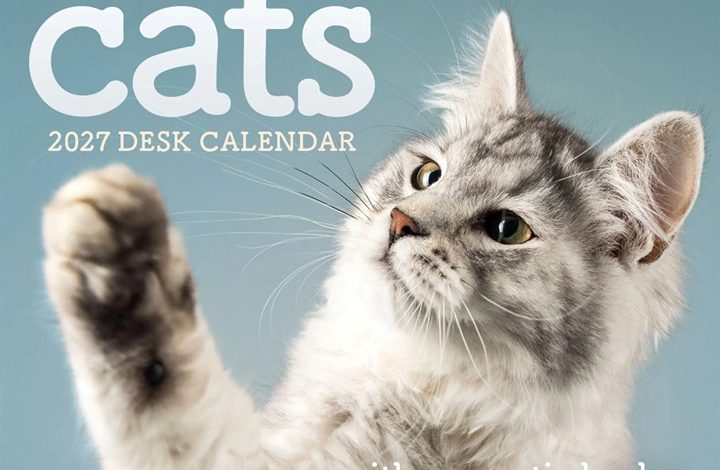 Cats Mini Desk Calendar 2027
