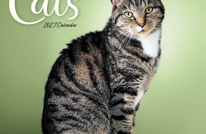 Cats Calendar 2027