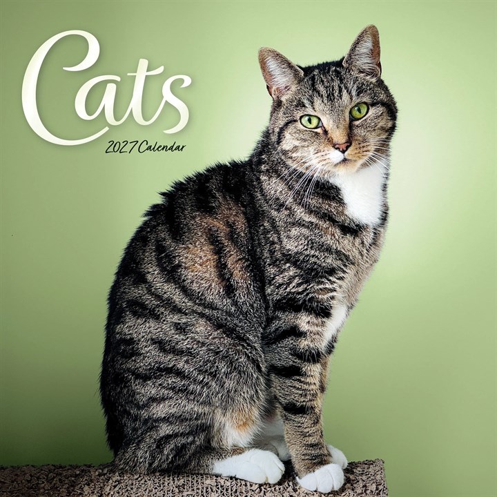 Cats Calendar 2027