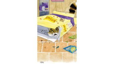 Alison's Animals Slim Calendar 2027