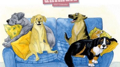 Alison's Animals Calendar 2027