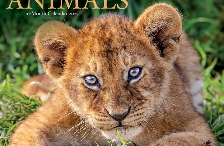 Baby Animals Calendar 2027