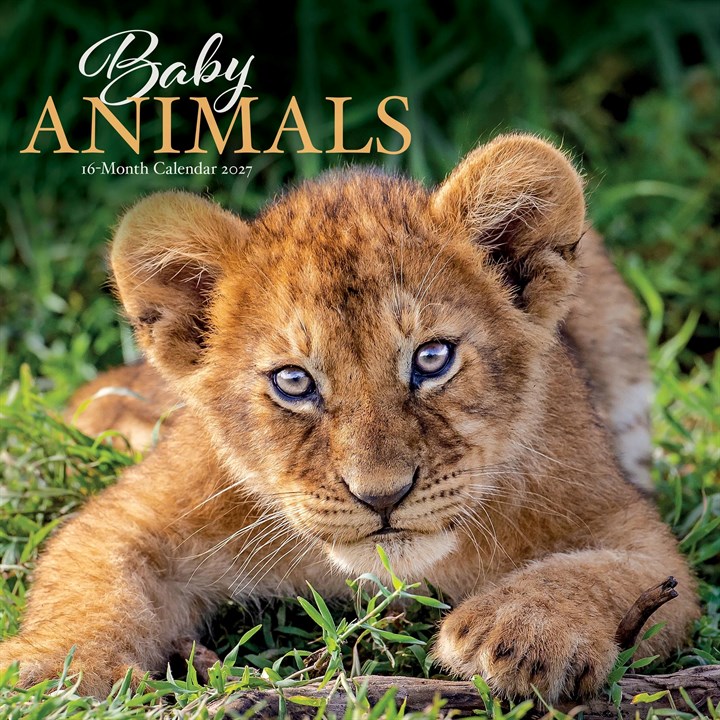 Baby Animals Calendar 2027