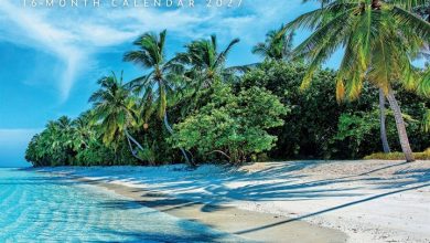 Beaches Mini Calendar 2027