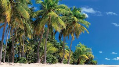 Beaches Calendar 2027