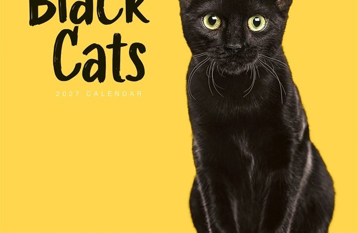 Black Cats Calendar 2027