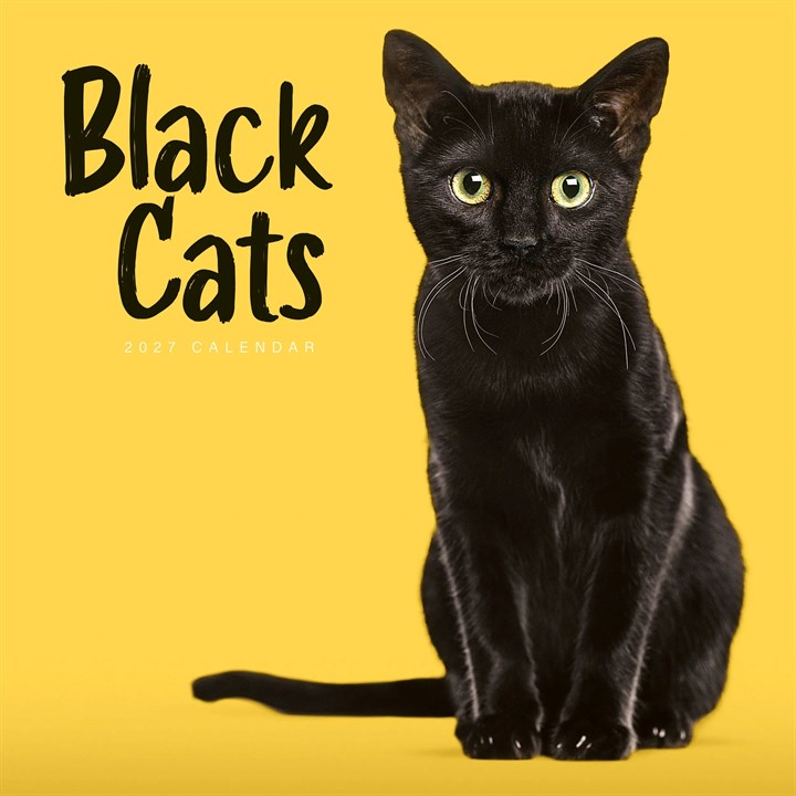 Black Cats Calendar 2027