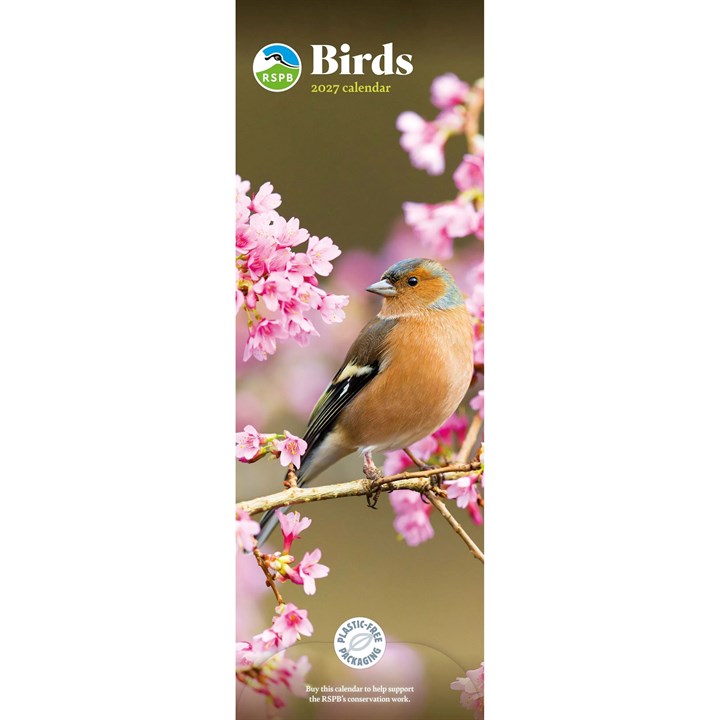 RSPB, Birds Slim Calendar 2027