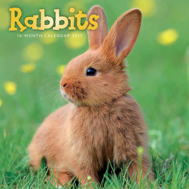 Rabbits Calendar 2027