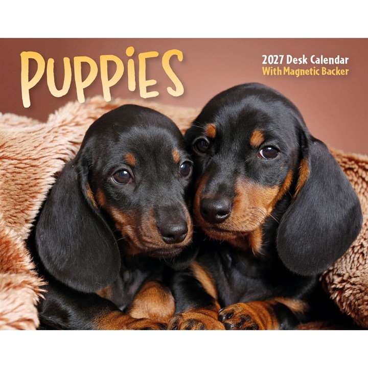 Puppies Mini Desk Calendar 2027