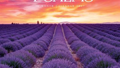 Psalms Calendar 2027