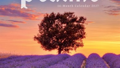 Psalms Mini Calendar 2027