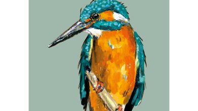 RSPB