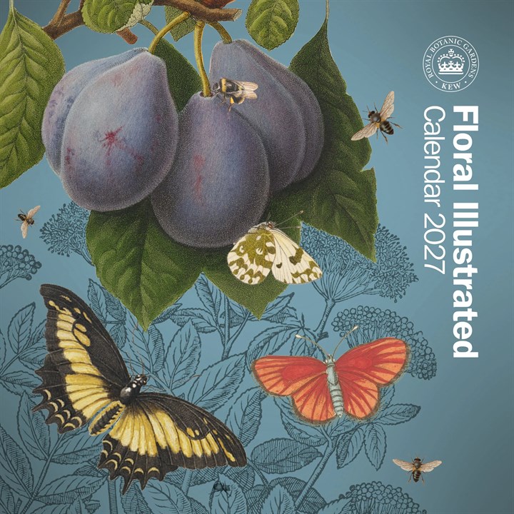 Royal Botanic Gardens, Kew Floral Illustrated Mini Calendar 2027