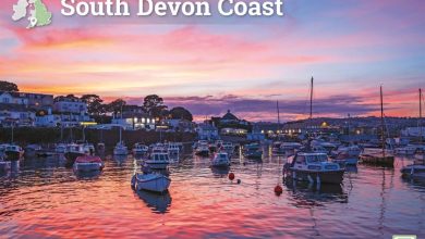 South Devon Coast A4 Calendar 2027