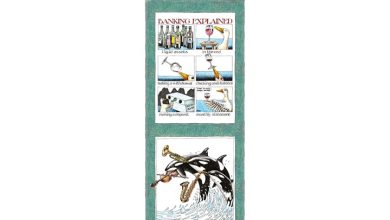Simon Drew's Famous Phrases Slim Calendar 2027