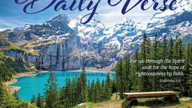Daily Verse Desk Calendar 2027