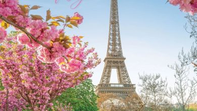 Parisian Lifestyle Calendar 2027