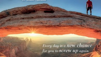Demotivation Calendar 2027