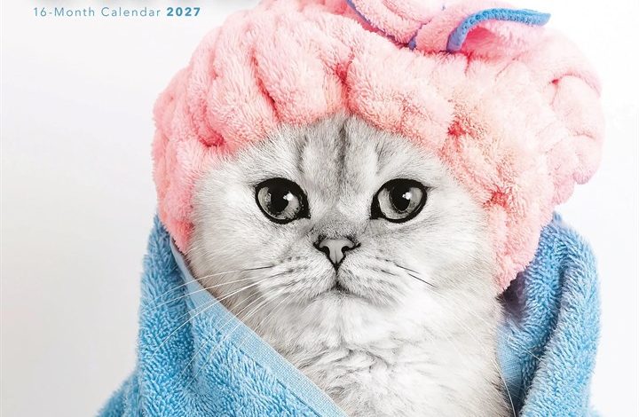 Cats Calendar 2027