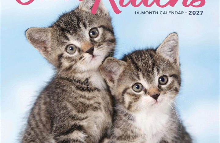 Cute Kittens Calendar 2027