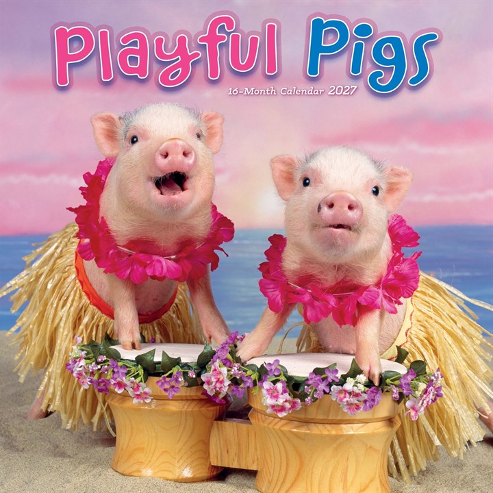 Playful Pigs Calendar 2027