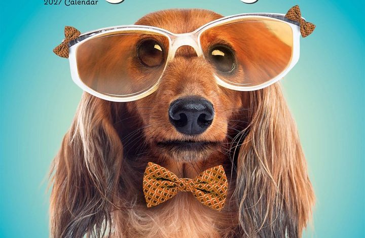 Dogs in Disguise Calendar 2027