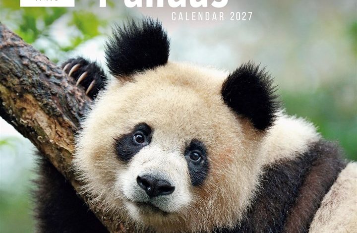 WWF