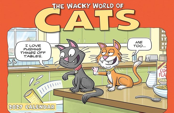 Wacky World of Cats A4 Calendar 2027