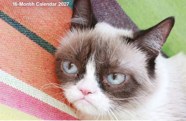 Grumpy Cat Mini Calendar 2027