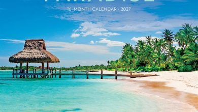 Island Paradise Mini Calendar 2027