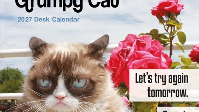 Grumpy Cat Desk Calendar 2027