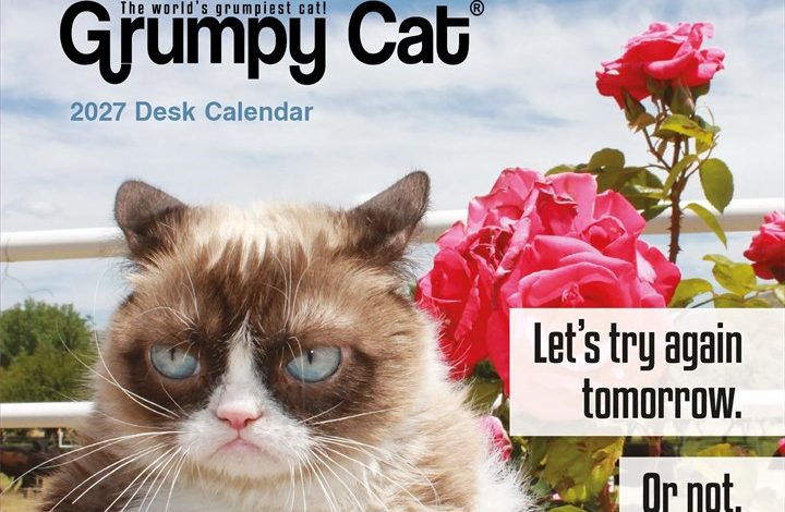 Grumpy Cat Desk Calendar 2027