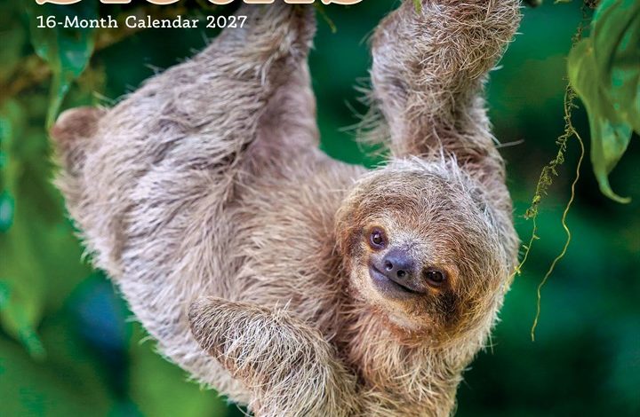 Sloths Mini Calendar 2027