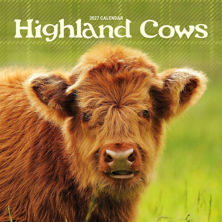 Highland Cows Mini Calendar 2027