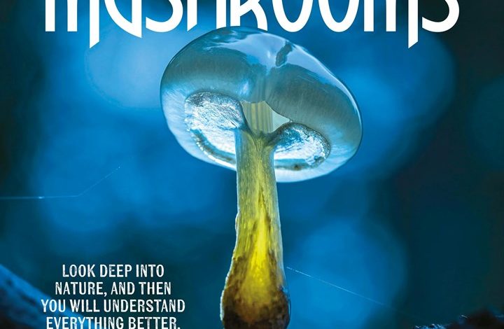 Marvellous Mushrooms Calendar 2027