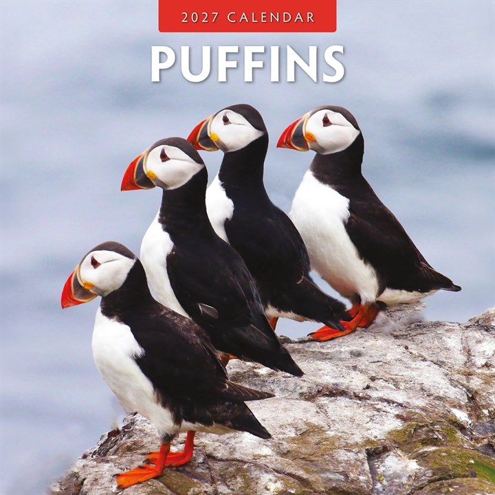 Puffins Calendar 2027
